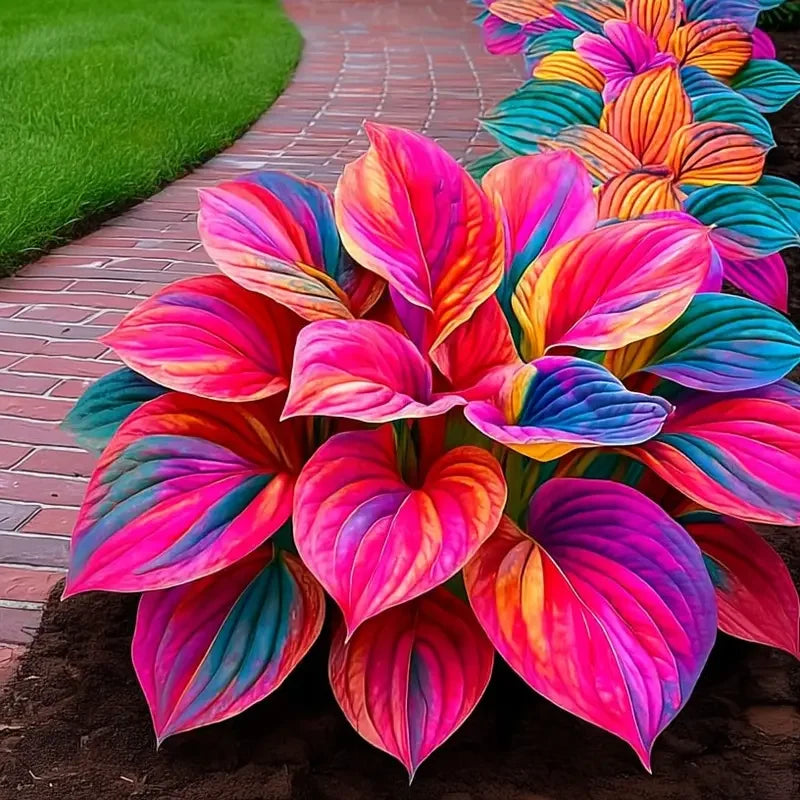 /69b22efbbbc192000acfef2a/2026/04/14/product-img-69ddee07f707c0639afa49c8.png